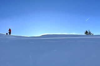 Foule, soleil et quelques poches de poudre