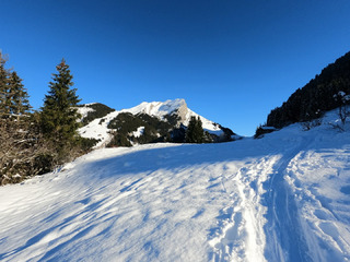 L'Etale sous le soleil