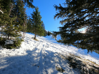 L'Etale sous le soleil