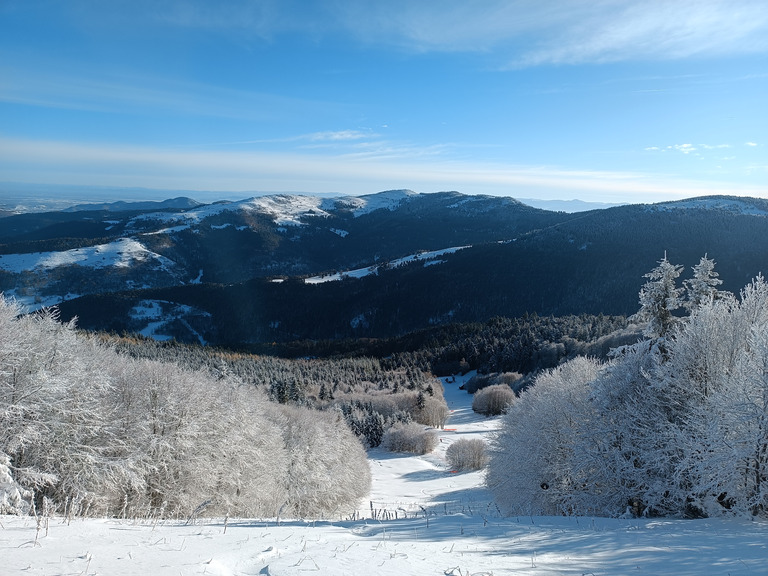 Ouverture du Schnepfenried