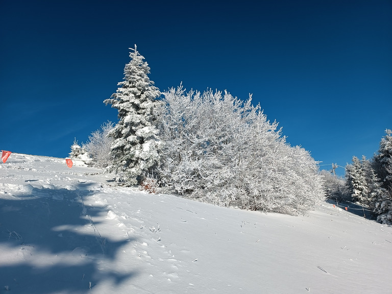 Ouverture du Schnepfenried