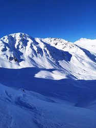 matinée freerando