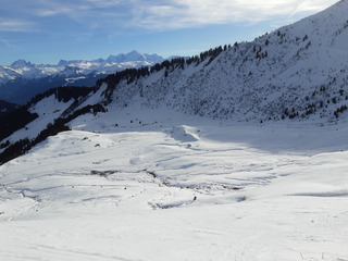 Carrelage