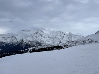 Grisaille avant champagne (flocons)