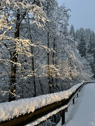 Flocons du soir bonsoir ..