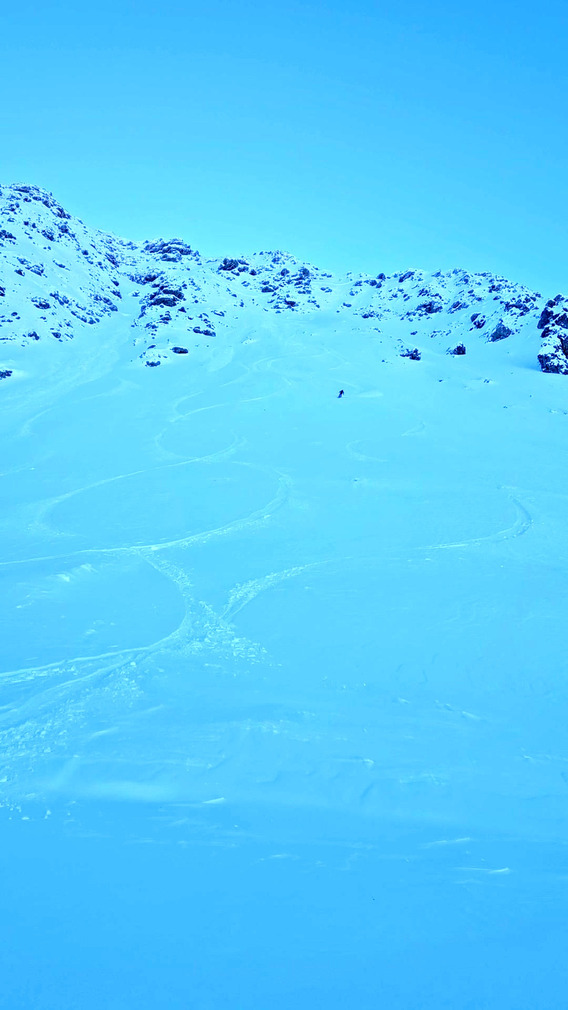 Fort bon tout &ccedil;a !