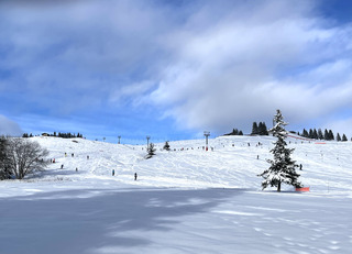 Du blanc pour le jour de l’an