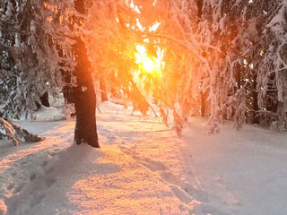 Sunset en Chablais