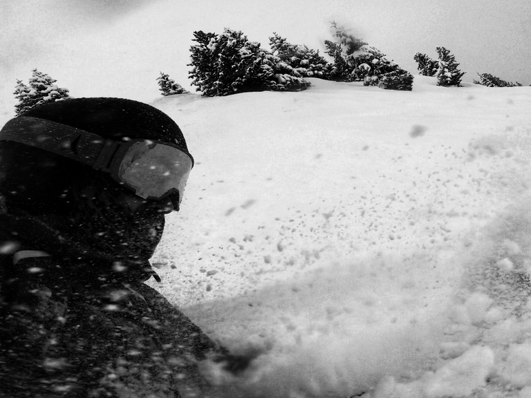 Sapins blancs = skieur content