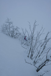 Les jours blancs sont (presque) les meilleurs …