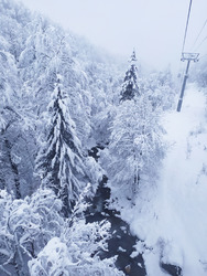 l hiver comme on l aime