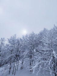 l hiver comme on l aime