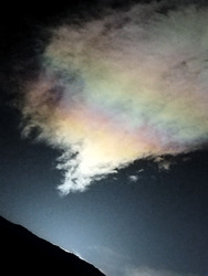 Une belle surprise !