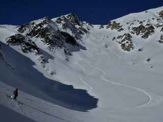 Toujours poudre! 