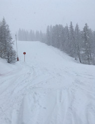 Merci aux dieux de la neige