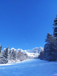 back in Chartreuse