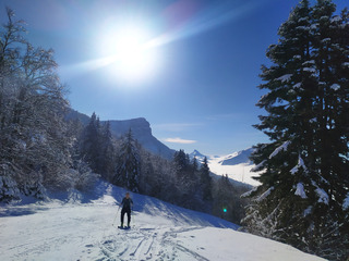 back in Chartreuse