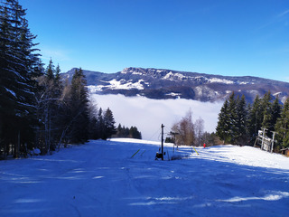 back in Chartreuse