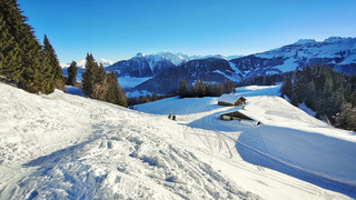 Côte 2000 : paysage > ski