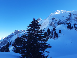Back chez les Dumonts