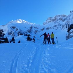 Back chez les Dumonts