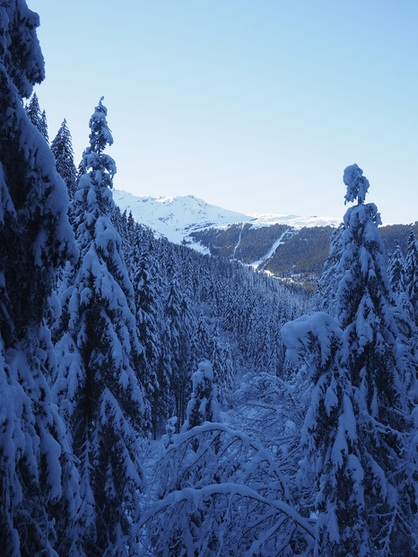 Rocher blanc (2928m) par la combe madame 