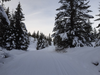Très bonne glisse à Solaison