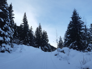 Très bonne glisse à Solaison