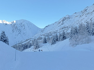 C'est beau et c'est bon !