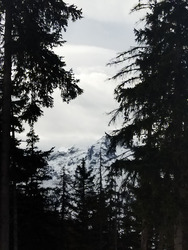 Dernière sortie avant rinçage 