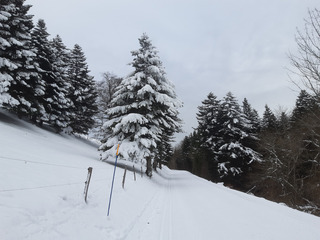 Salève skiable, faut en profiter!