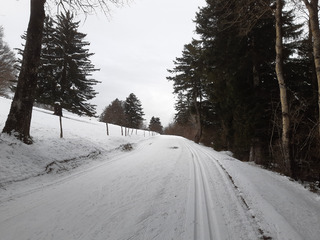 Salève skiable, faut en profiter!