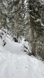 Promenons-nous dans les bois 