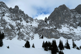 Les peaux volent dans les bernoises