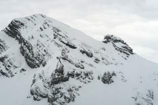 Les peaux volent dans les bernoises