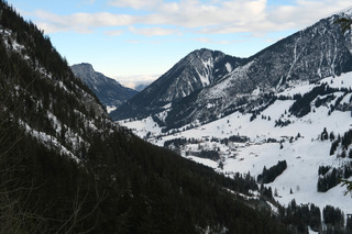 Les peaux volent dans les bernoises