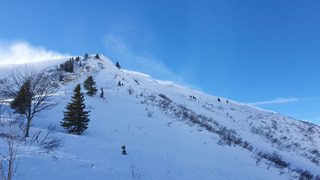 Grand Bo(eau)rnand 