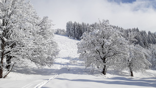 Pure journée d'hors-piste