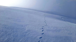 🎬 Sc&egrave;ne 1 - WHAOU, la neige de r&ecirc;ve est l&agrave; 🤩 incroyable 👍