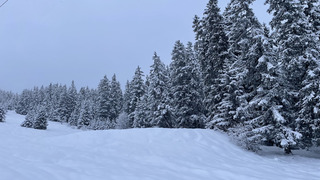 Au dessus des nuages