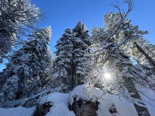 Semnoz parfait pour tout le monde