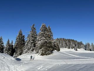 Semnoz parfait pour tout le monde