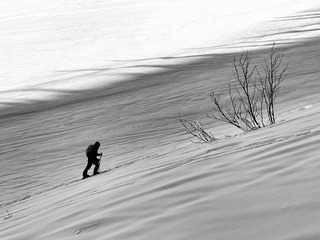 Grand Froid, grand Beau, grand monde 