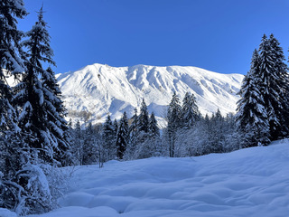 Grand Froid, grand Beau, grand monde 
