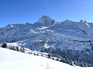 Grand Froid, grand Beau, grand monde 
