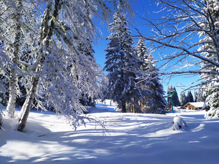 belle apres midi bien fraîche 