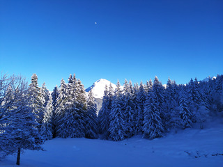 belle apres midi bien fraîche 