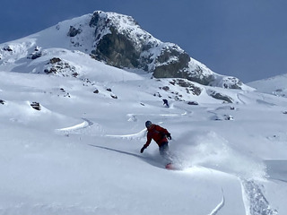 Du désespoir à l’émerveillement 🤩