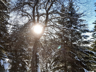 Ambiance hivernale