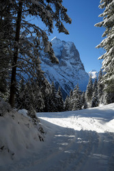 Up and down sous les glaciers bernois
